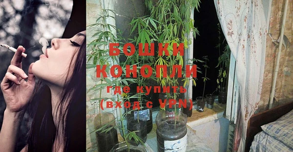 спайс Баксан
