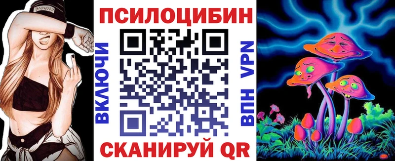 Галлюциногенные грибы Cubensis  закладки  Серафимович 